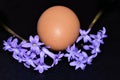 Happy ester with the nice decorations Ã¢â¬â macro Photo